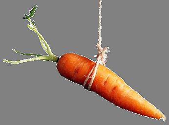 Carrot On String
