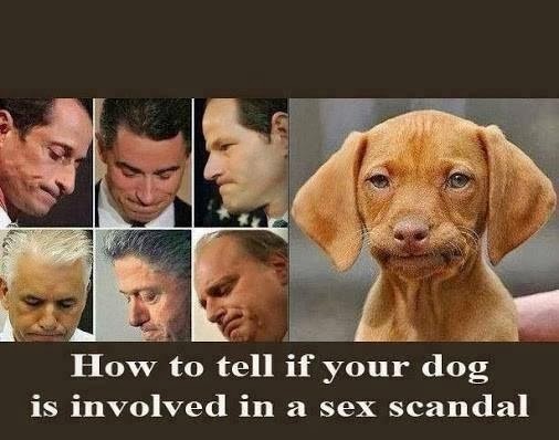 Dog Sex Scandal