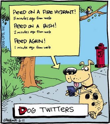 Dog Twitters