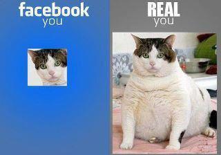 Facebook Cat