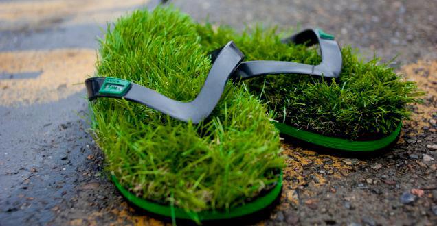 Grass Under Feet