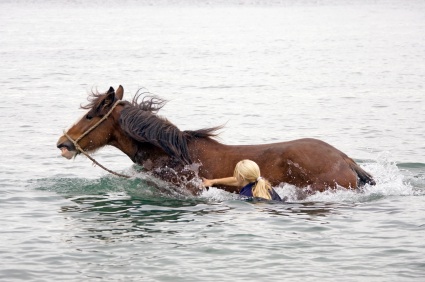 Horse In River
