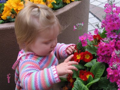Little Girl Playing Flowers