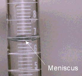 Meniscus