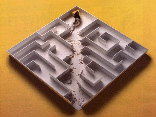 Mouse Maze