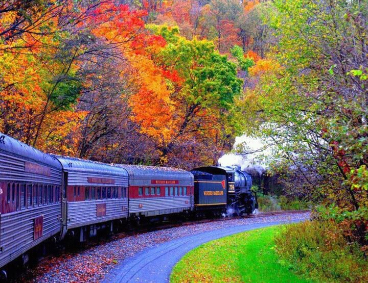 Train In Fall