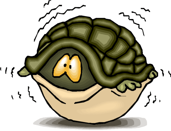 Turtle In Shell